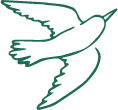 LOGO Contact