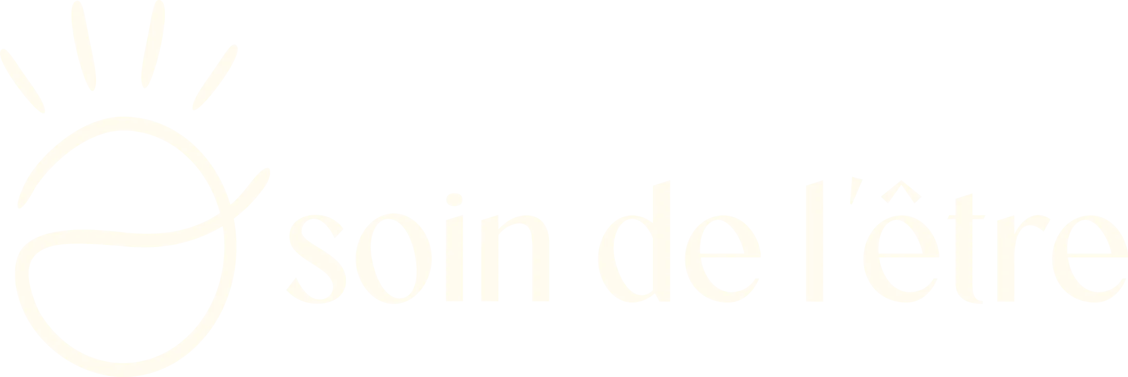 logo de l'Accompagnement